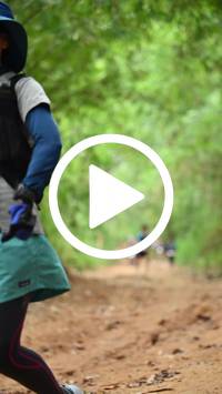 BIB:  <button type="button" onclick="openModal(26808626)" class="btn btn-primary btn-sm float-right" data-toggle="modal" data-target=".modal-high-quality">
                <i class="fa fa-download"></i> Download
                </button>